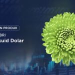 BRI-MI Gandeng DBS Indonesia Luncurkan Reksa Dana BRI Seruni Likuid Dolar