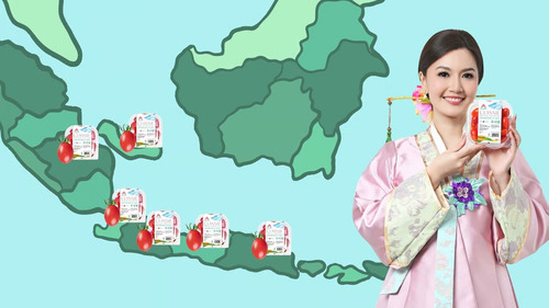 Peta Penyebaran Buah Premium di Indonesia: Dari Jakarta hingga Bali dalam Waktu Singkat